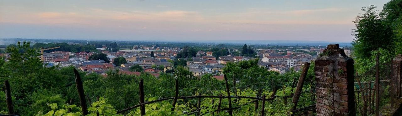 Passeggiata alla scoperta delle colline Bovesane - 29 giugno